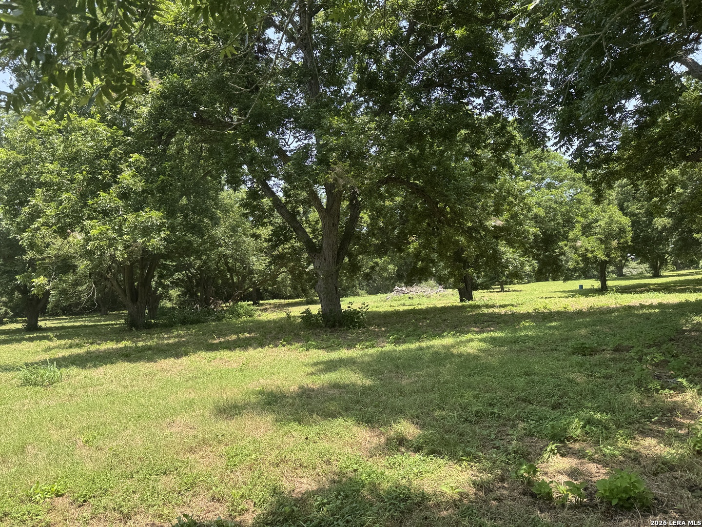 0 B & B Road Seguin, TX 78155 - Photo 28 of 38
