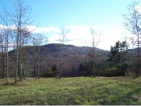 Lot 1 Windsor Road Perkinsville, VT 05151 - Photo 3 of 3 Gallery Image 3