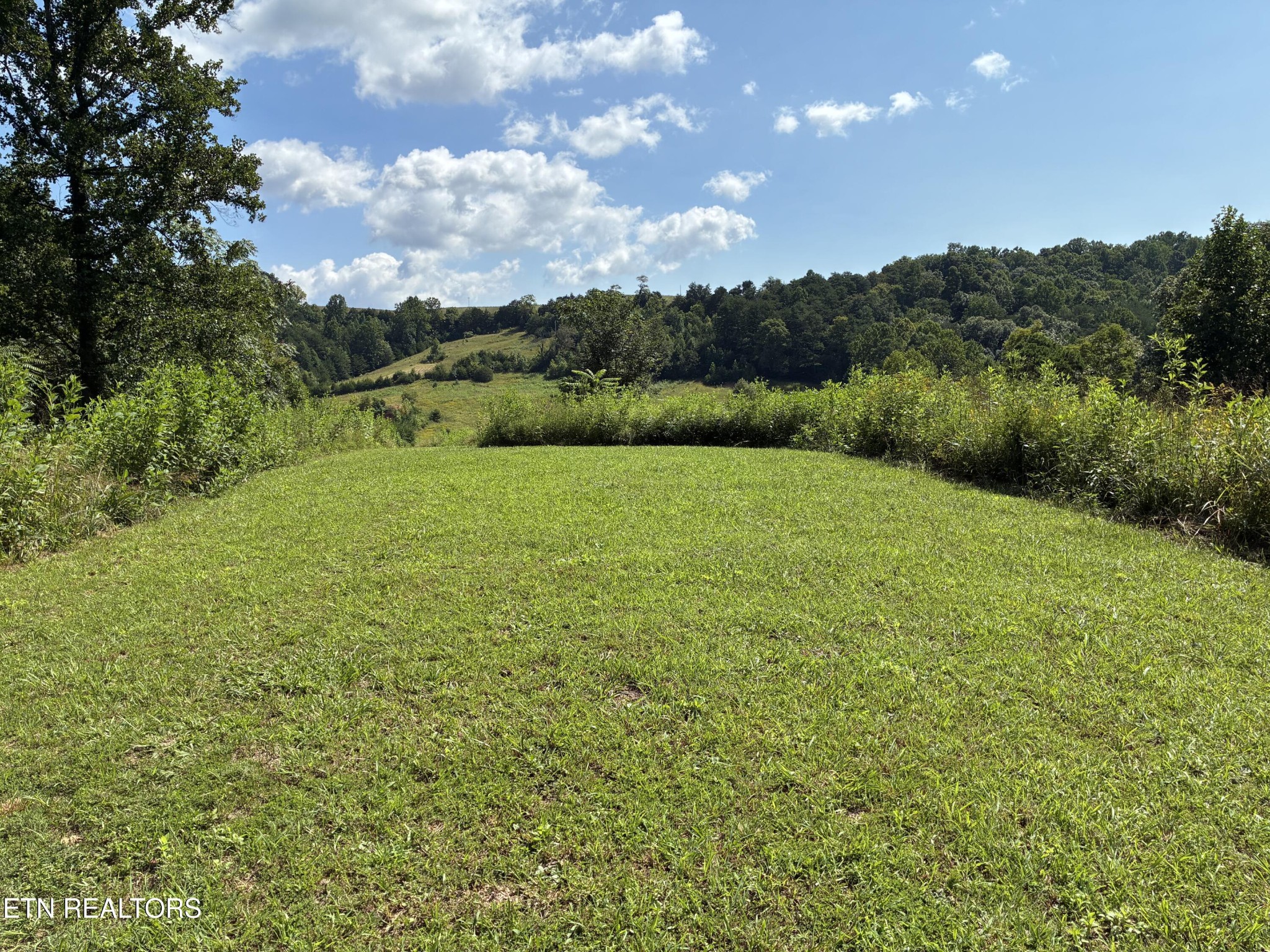1160 Oak Grove Road Harrogate, TN 37752 - Photo 50 of 58 Gallery Image 50