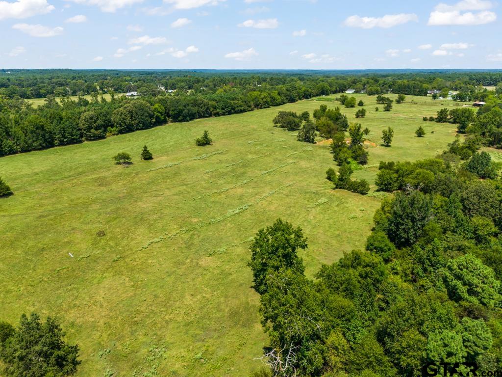 7981 Arrowwood Road Gilmer, TX 75644 - Photo 11 of 39 a view of a lake view