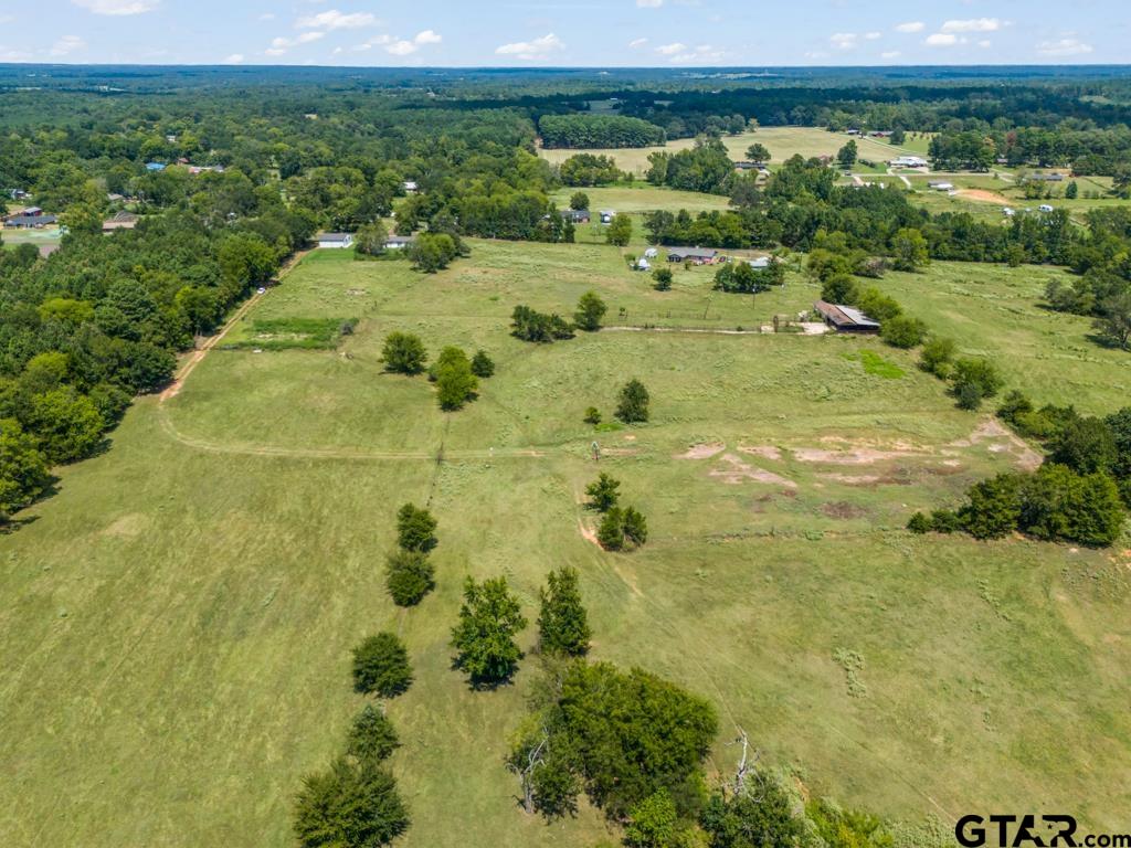 7981 Arrowwood Road Gilmer, TX 75644 - Photo 14 of 39 a view of a big yard with large trees