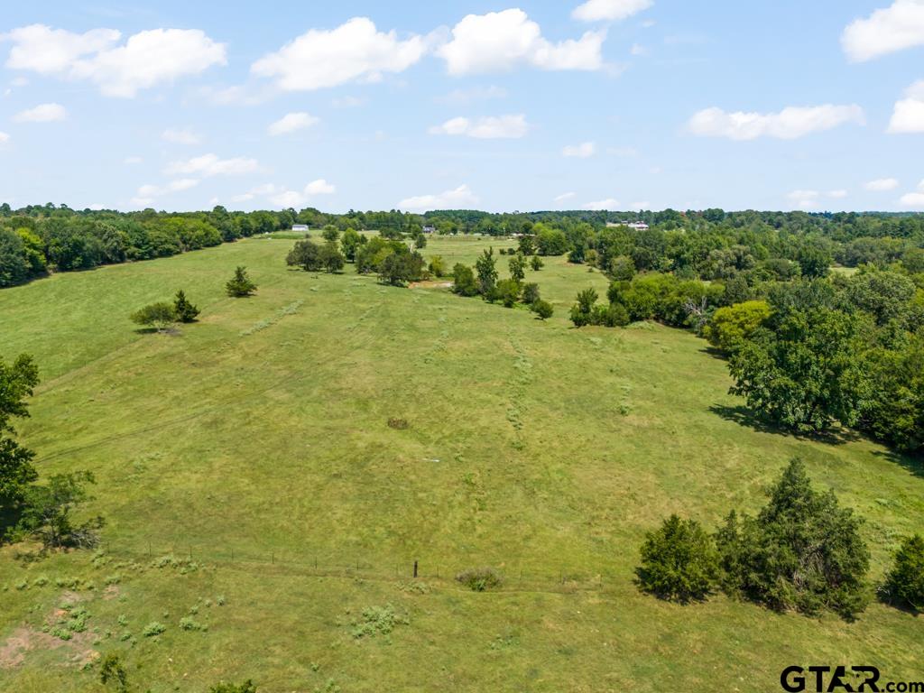 7981 Arrowwood Road Gilmer, TX 75644 - Photo 15 of 39 a view of a big yard with lots of green space and fog