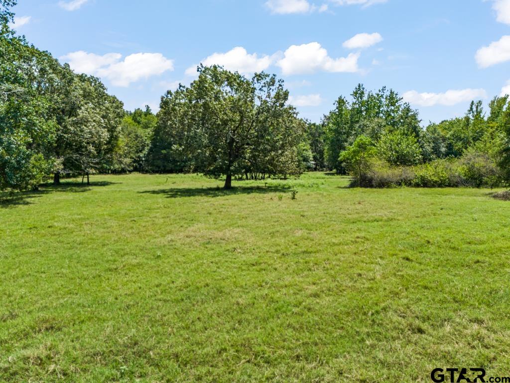 7981 Arrowwood Road Gilmer, TX 75644 - Photo 16 of 39 a view of field with trees in the background