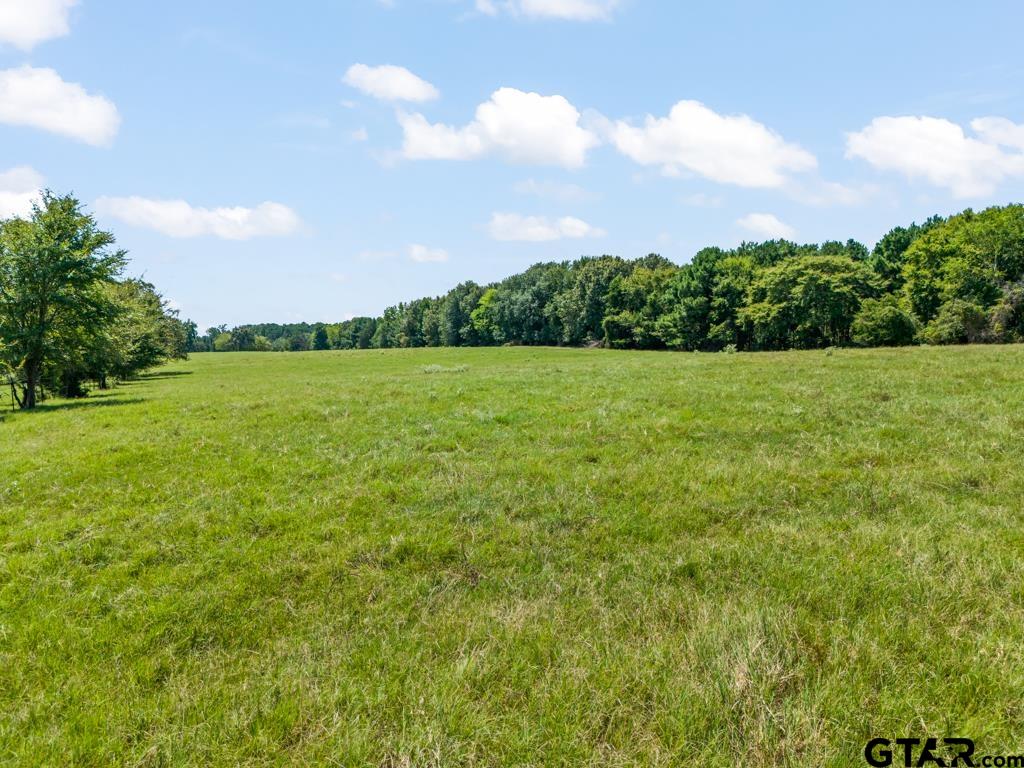 7981 Arrowwood Road Gilmer, TX 75644 - Photo 17 of 39 a view of a big yard with a large tree