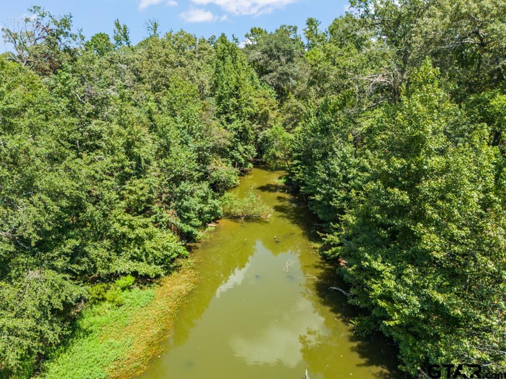7981 Arrowwood Road Gilmer, TX 75644 - Photo 18 of 39 a view of a lake in a forest