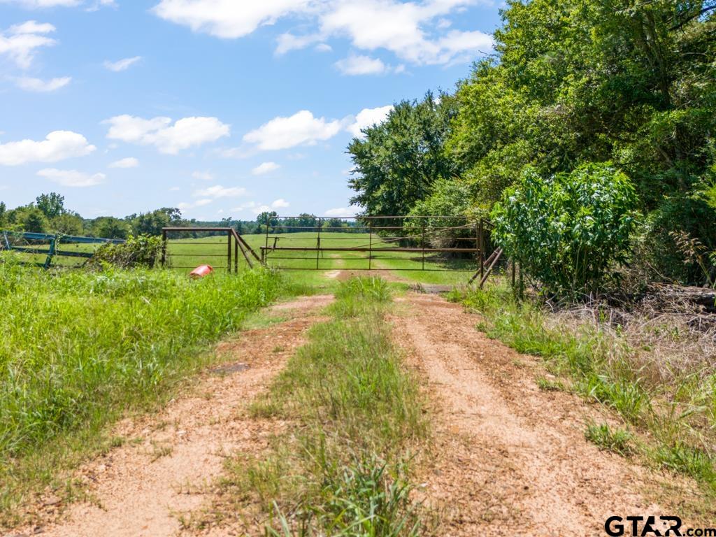 7981 Arrowwood Road Gilmer, TX 75644 - Photo 20 of 39 a view of a lake from a yard