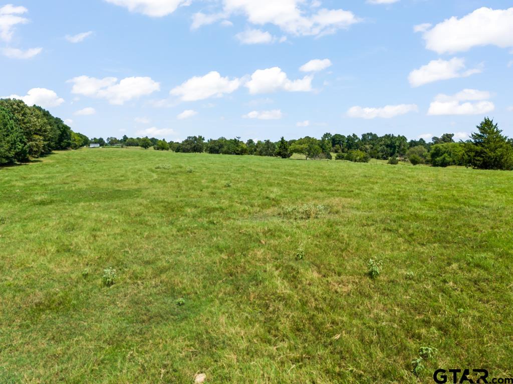 7981 Arrowwood Road Gilmer, TX 75644 - Photo 21 of 39