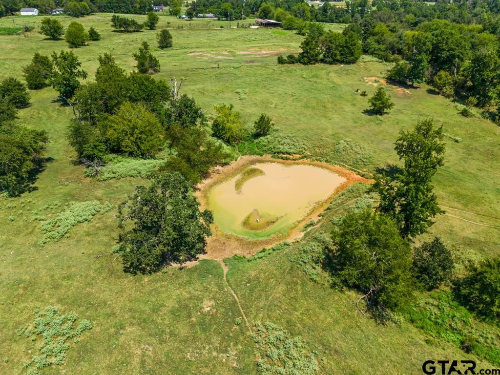 7981 Arrowwood Road Gilmer, TX 75644 - Photo 22 of 39 a view of a garden with a lake