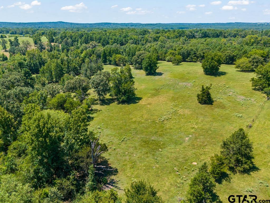 7981 Arrowwood Road Gilmer, TX 75644 - Photo 23 of 39 a view of a lake with a building in the background