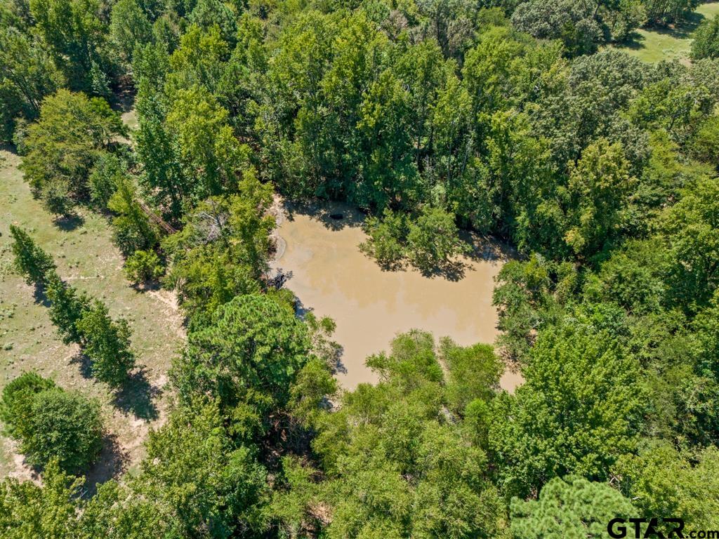 7981 Arrowwood Road Gilmer, TX 75644 - Photo 24 of 39 a view of a lake in a forest