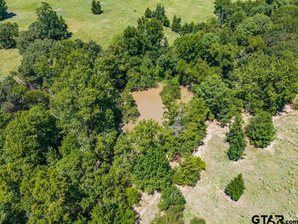 7981 Arrowwood Road Gilmer, TX 75644 - Photo 25 of 39 a view of a yard