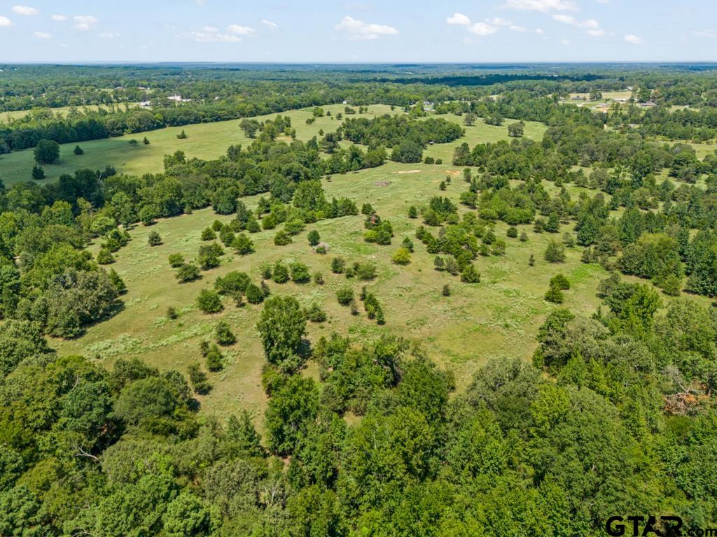7981 Arrowwood Road Gilmer, TX 75644 - Photo 26 of 39 a view of a green yard with an outdoor seating and mountain view
