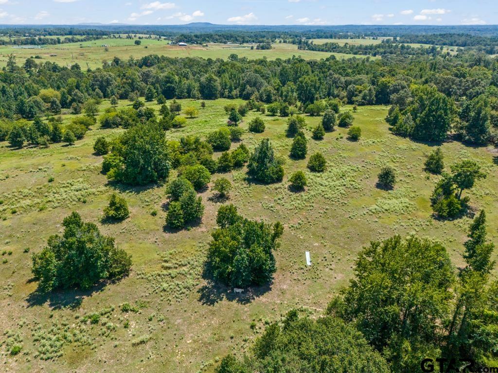 7981 Arrowwood Road Gilmer, TX 75644 - Photo 27 of 39 a view of a lush green field with lots of trees in the background
