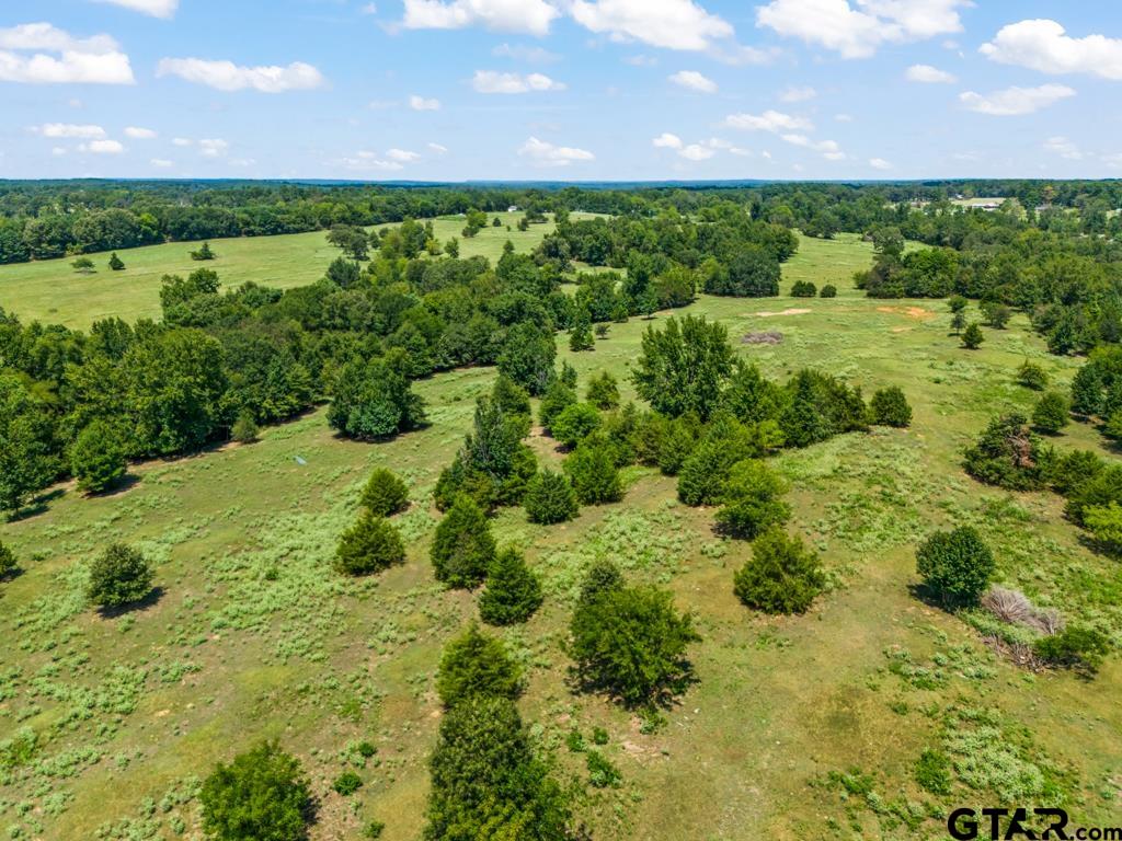 7981 Arrowwood Road Gilmer, TX 75644 - Photo 28 of 39 a view of a green field