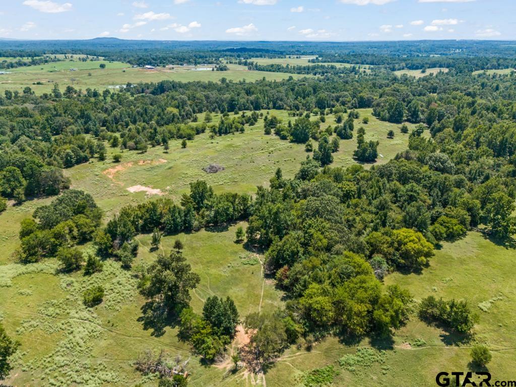 7981 Arrowwood Road Gilmer, TX 75644 - Photo 29 of 39 a view of a lush green forest with houses in the back