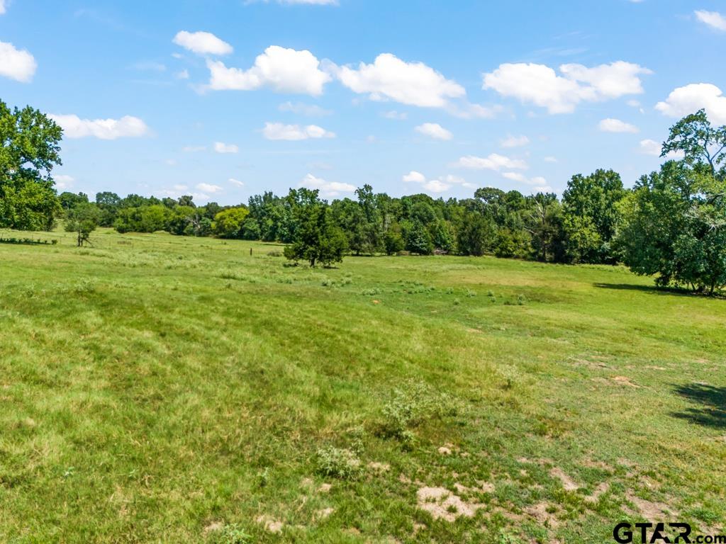 7981 Arrowwood Road Gilmer, TX 75644 - Photo 30 of 39