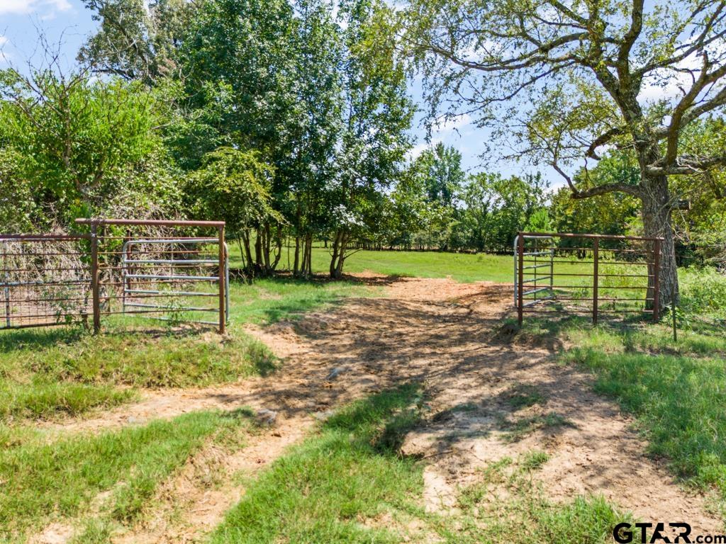 7981 Arrowwood Road Gilmer, TX 75644 - Photo 31 of 39 a view of a park