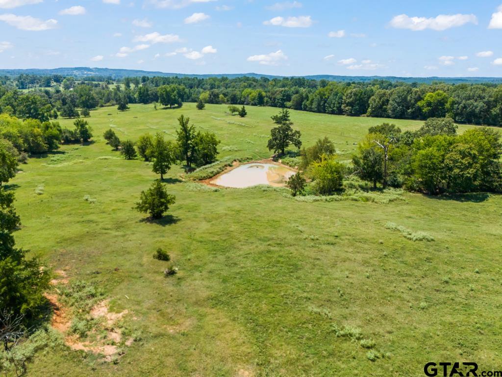 7981 Arrowwood Road Gilmer, TX 75644 - Photo 32 of 39 a view of a lake with a yard