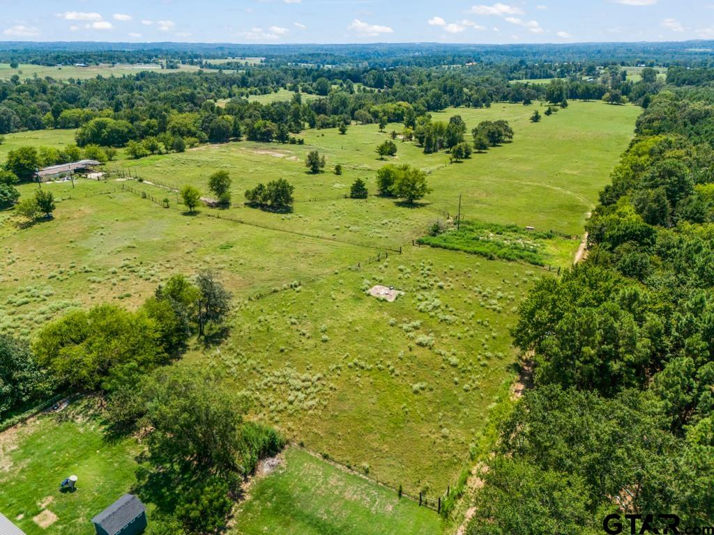7981 Arrowwood Road Gilmer, TX 75644 - Photo 36 of 39 a view of a green field with lots of green plants and trees in the background