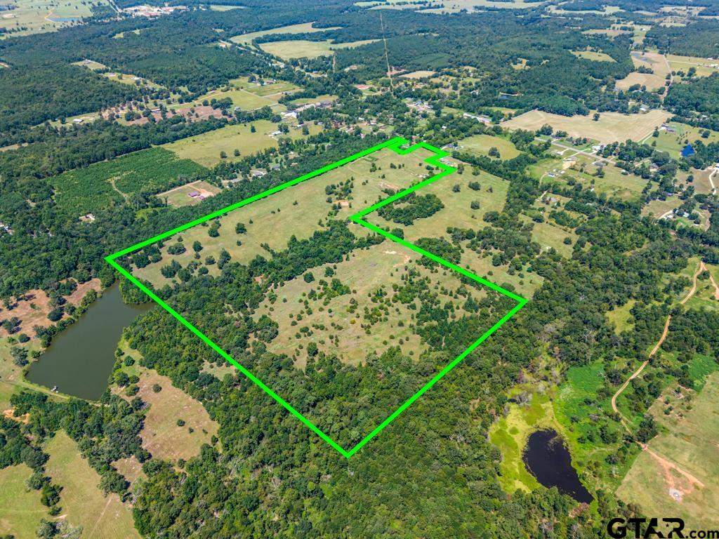 7981 Arrowwood Road Gilmer, TX 75644 - Photo 38 of 39 a view of a garden with a lake