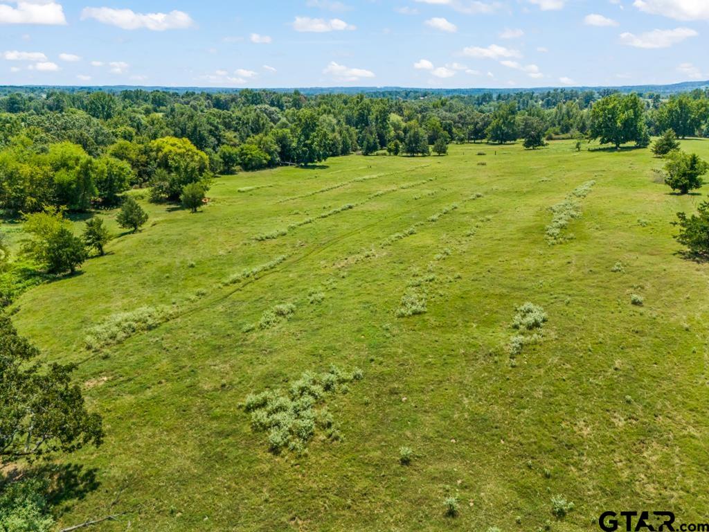 7981 Arrowwood Road Gilmer, TX 75644 - Photo 4 of 39 a view of a green yard