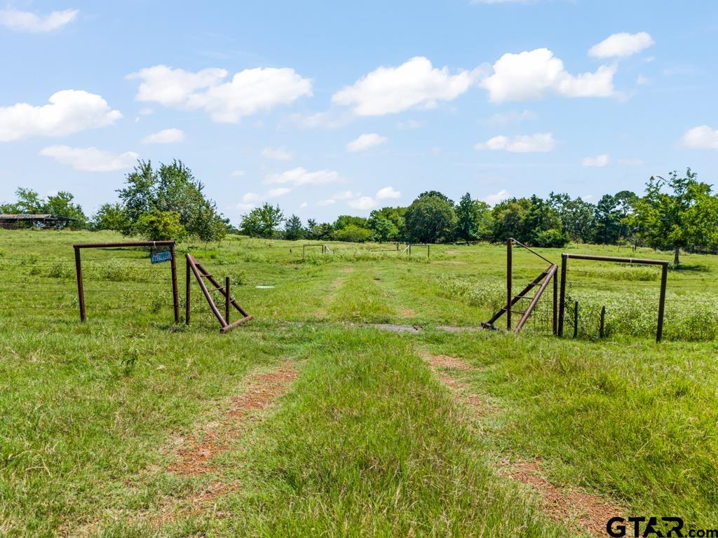 7981 Arrowwood Road Gilmer, TX 75644 - Photo 5 of 39 a view of an outdoor space and yard