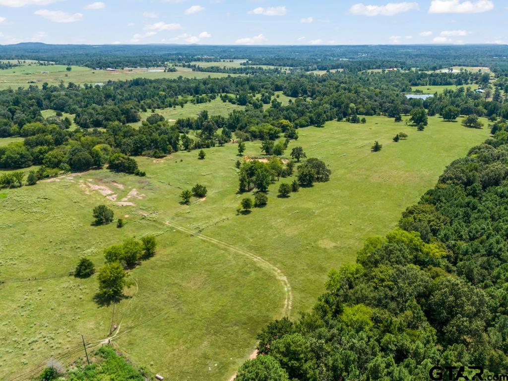 7981 Arrowwood Road Gilmer, TX 75644 - Photo 7 of 39 a view of a lake with a city