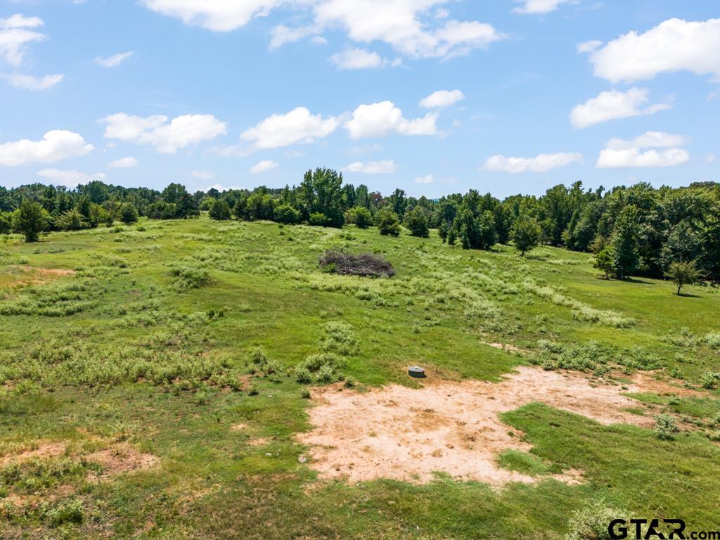 7981 Arrowwood Road Gilmer, TX 75644 - Photo 8 of 39 a view of a field with an trees