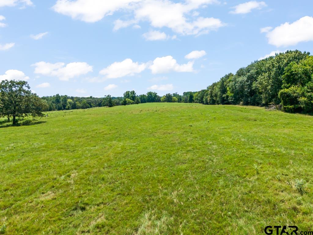 7981 Arrowwood Road Gilmer, TX 75644 - Photo 9 of 39 a view of an ocean from a yard