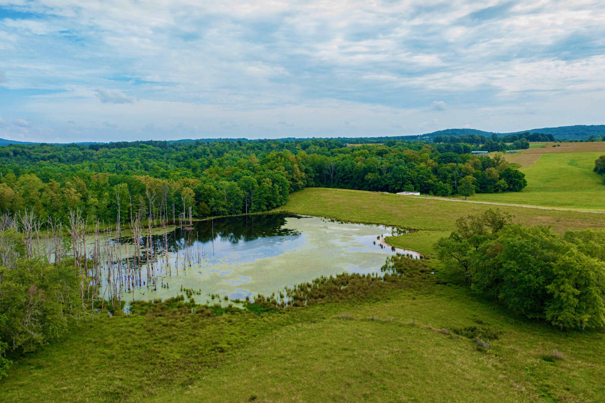 11 Galen Road Pikeville, TN 37367 - Photo 3 of 30 Gallery Image 3