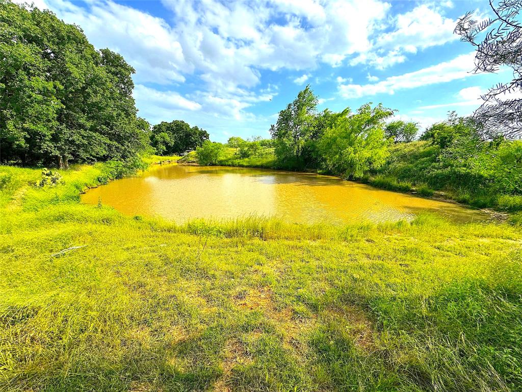 11020 Highway 281 Perrin, TX 76486 - Photo 16 of 22