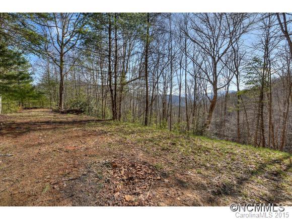 600 Fines Creek Road Clyde, NC 28721 - Photo 22 of 24 a backyard of a house with lots of green space