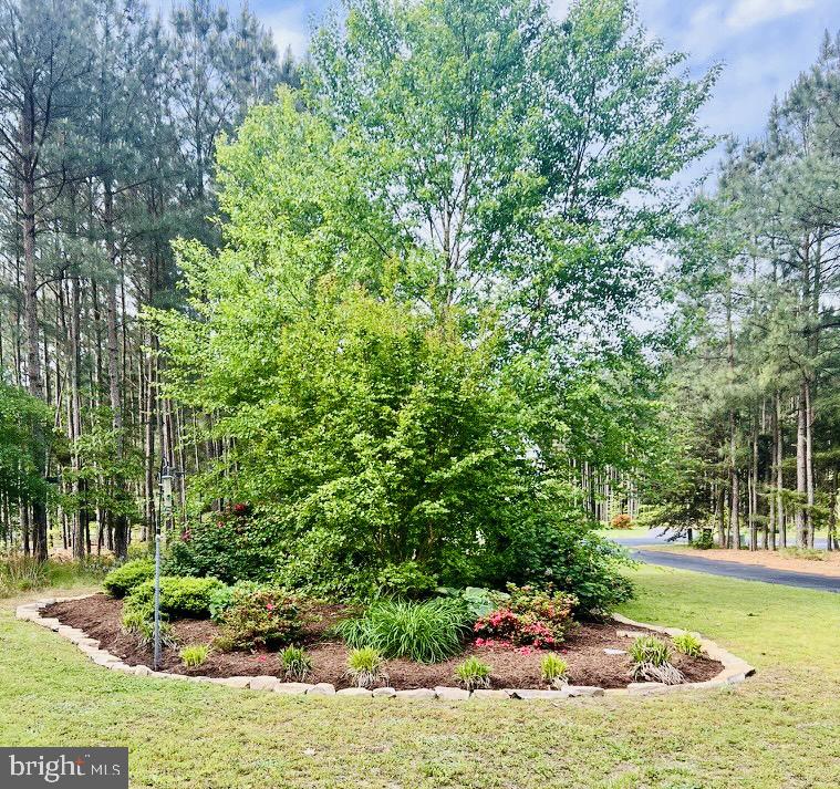24795 Waterview Way Georgetown, DE 19947 - Photo 11 of 68 Gallery Image 11