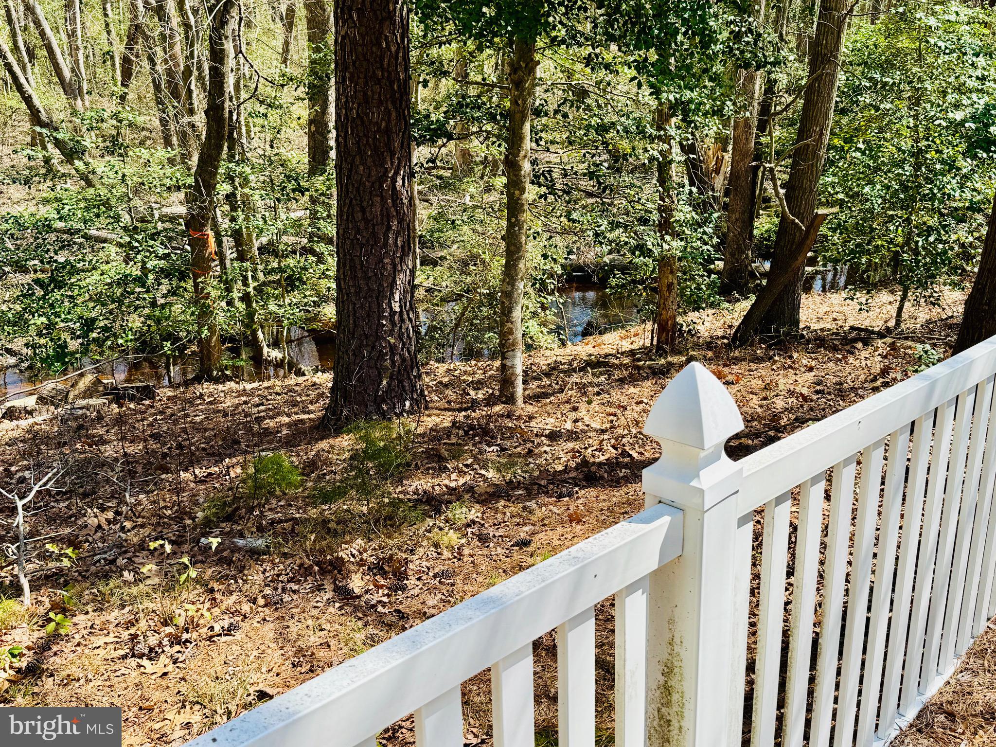 24795 Waterview Way Georgetown, DE 19947 - Photo 18 of 68 Creek in backyard