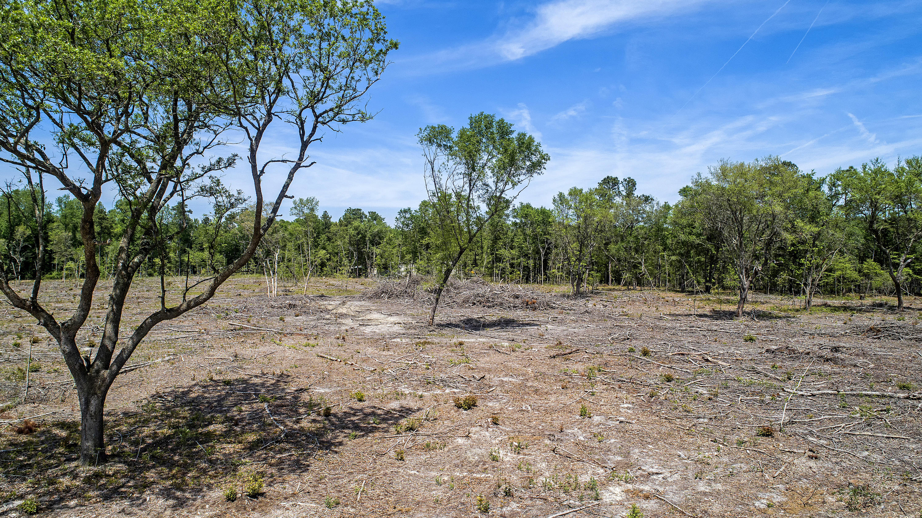 A Zion Road, Unit A Dorchester, SC 29437 - Photo 3 of 7 DJI_0024 copy