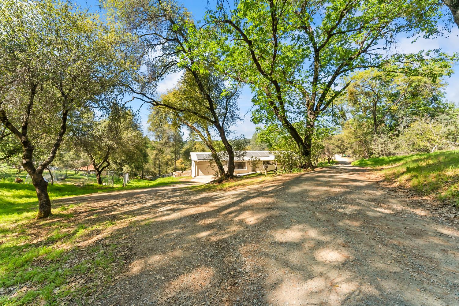 4705 Sand Ridge Road Placerville, CA 95667 - Photo 2 of 36 a view of a yard with large trees