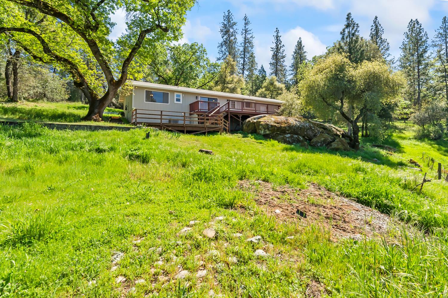 4705 Sand Ridge Road Placerville, CA 95667 - Photo 27 of 36 a view of a house with a backyard and trees