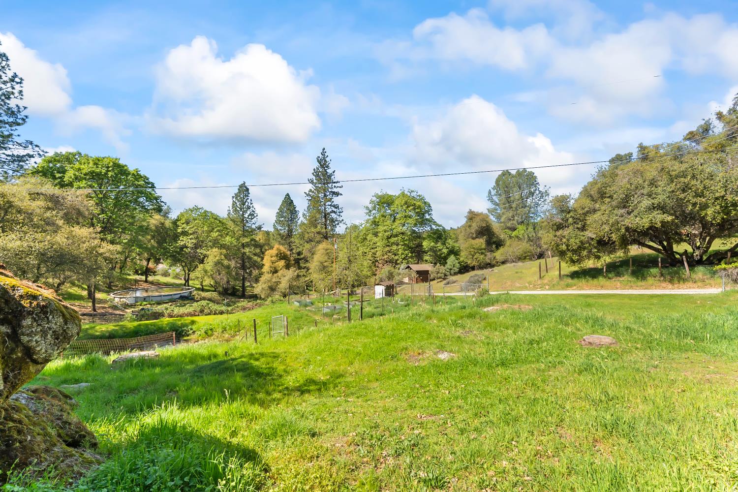 4705 Sand Ridge Road Placerville, CA 95667 - Photo 30 of 36 a view of a big yard with a large trees