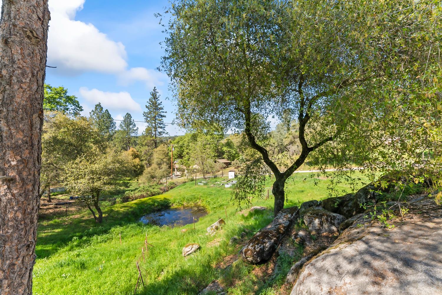 4705 Sand Ridge Road Placerville, CA 95667 - Photo 31 of 36 a view of a garden