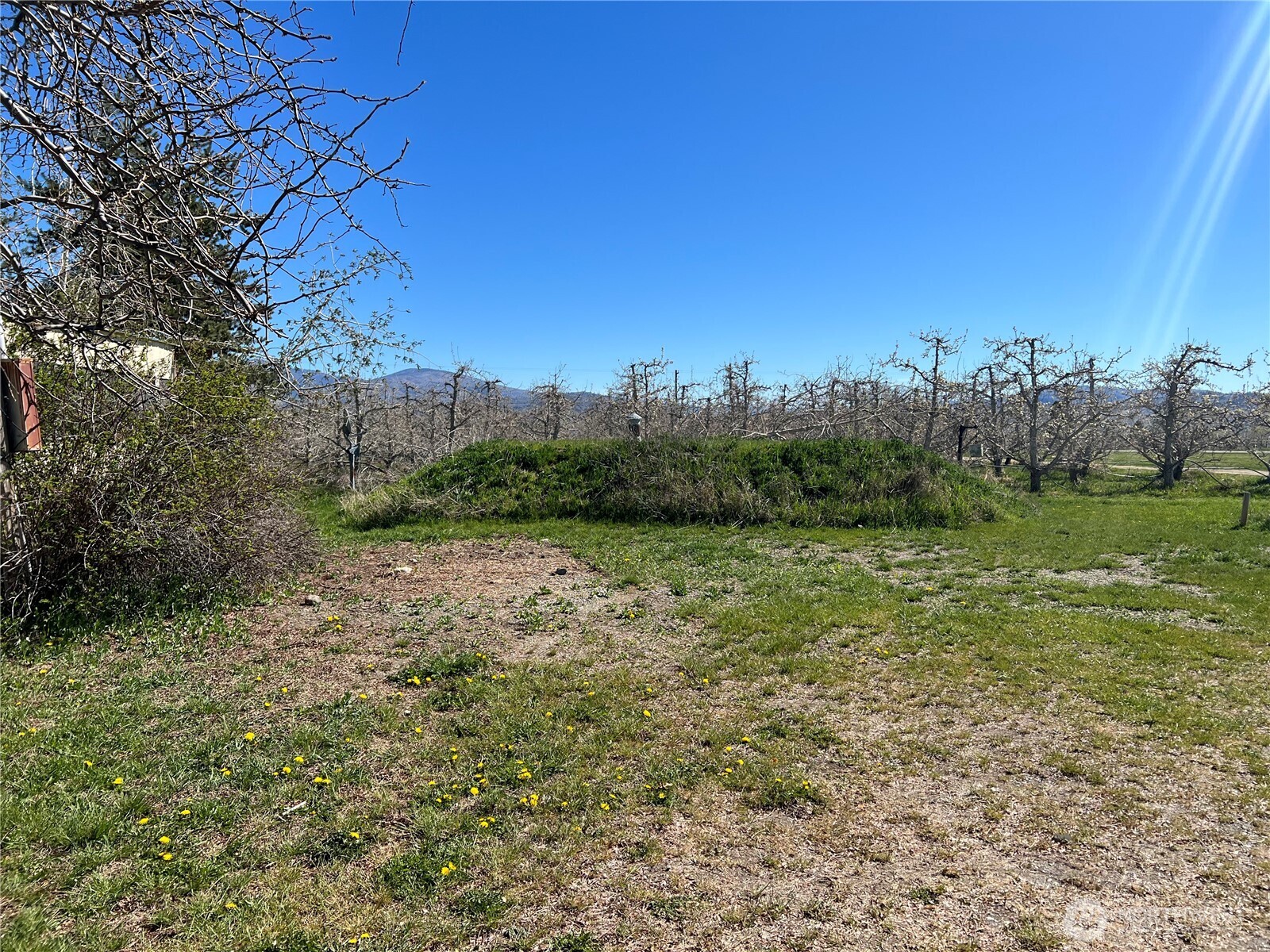 59 Hendrick Loop Road Omak, WA 98841 - Photo 4 of 39