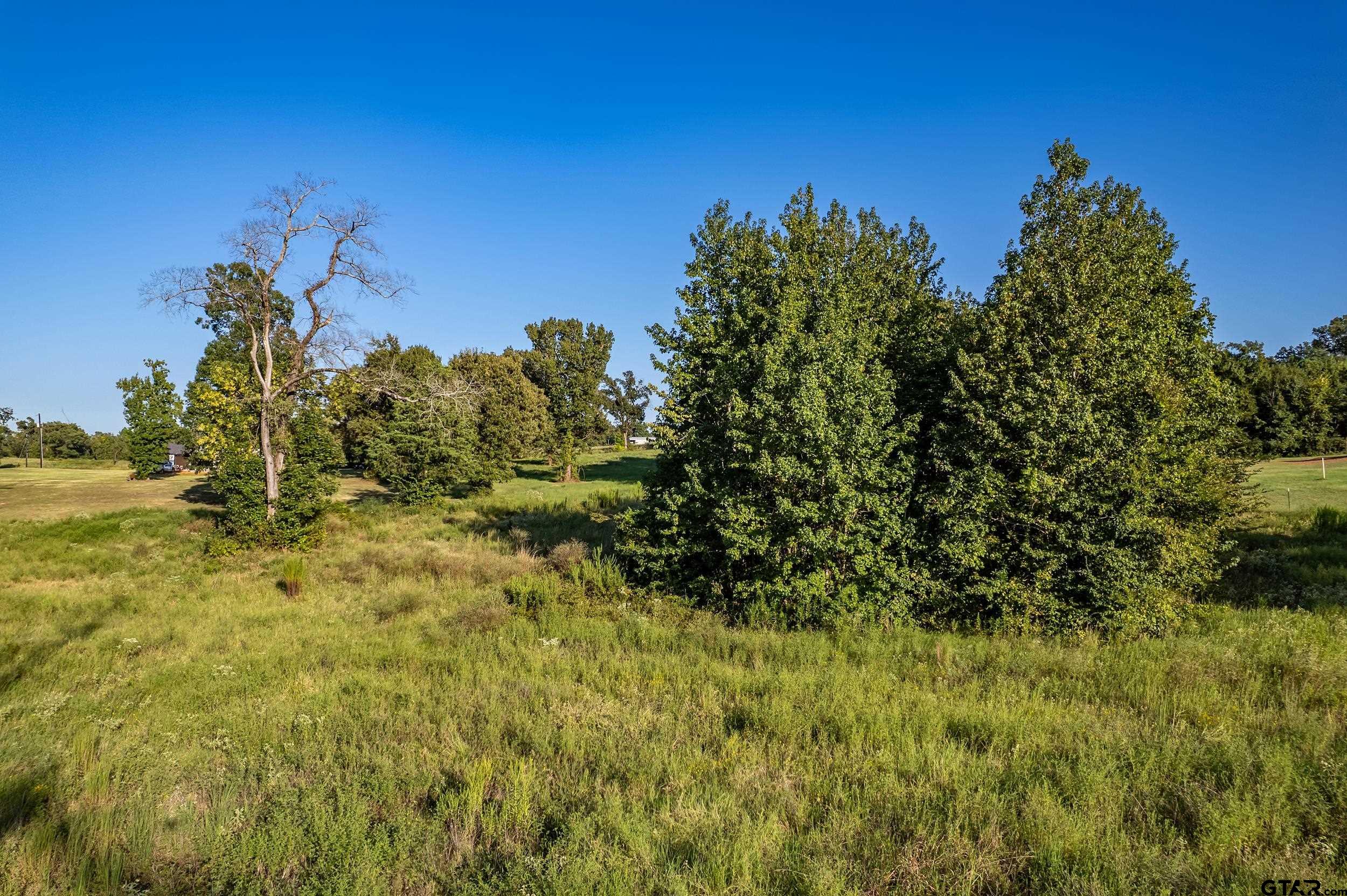 16534 Ridgeline Loop Winona, TX 75792 - Photo 11 of 15 a view of a big yard
