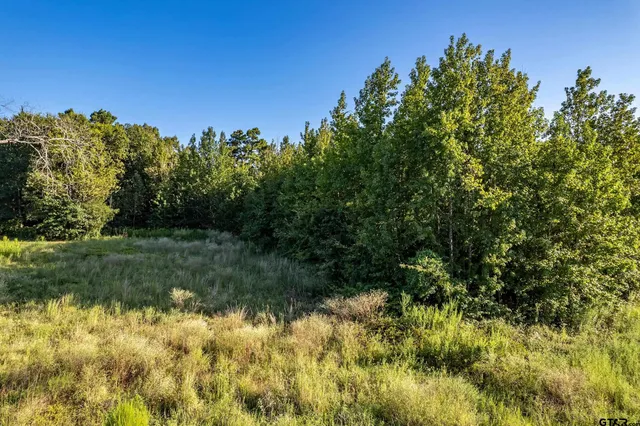 a view of a yard with an trees