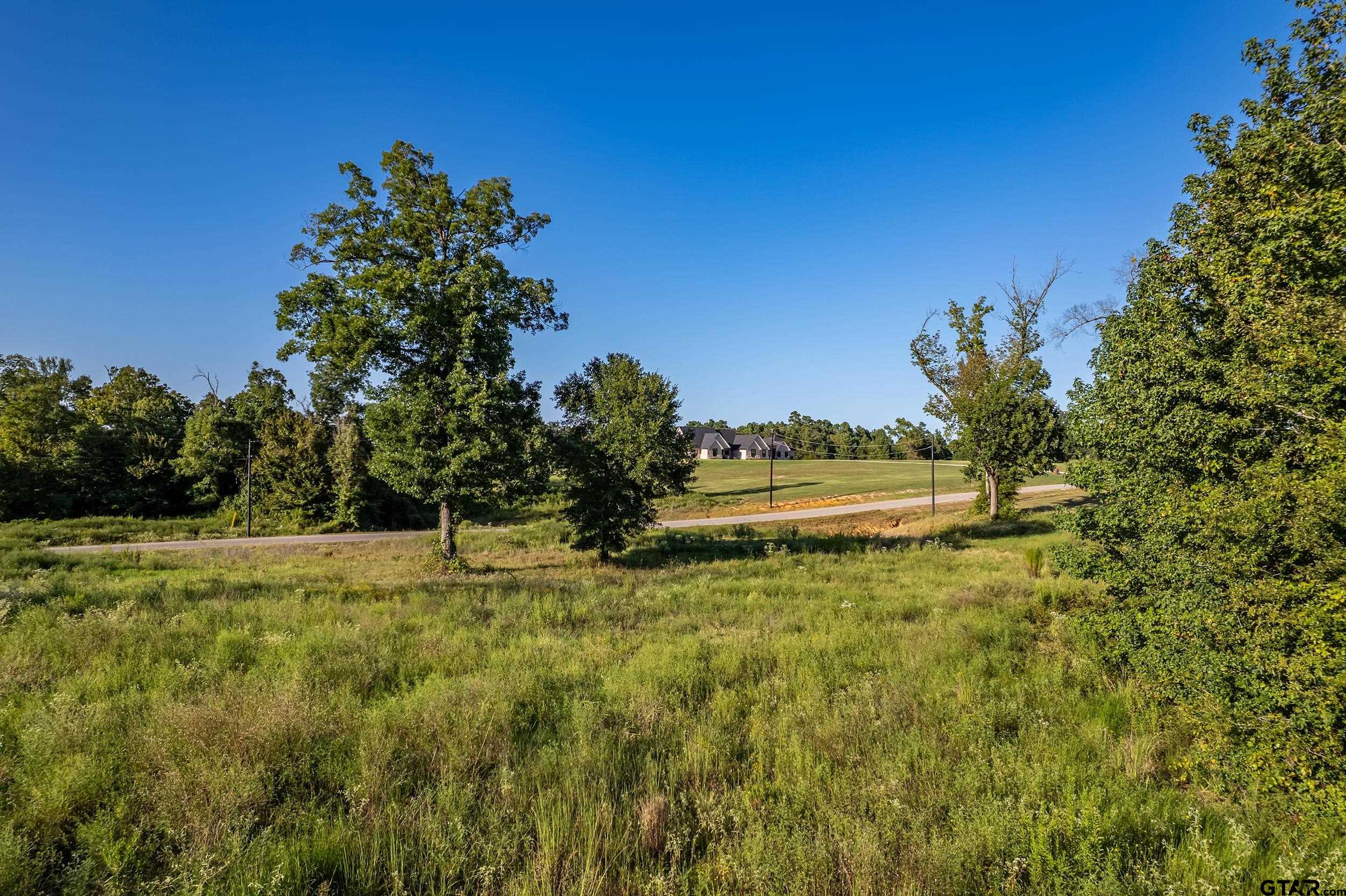 16534 Ridgeline Loop Winona, TX 75792 - Photo 14 of 15 a view of a yard