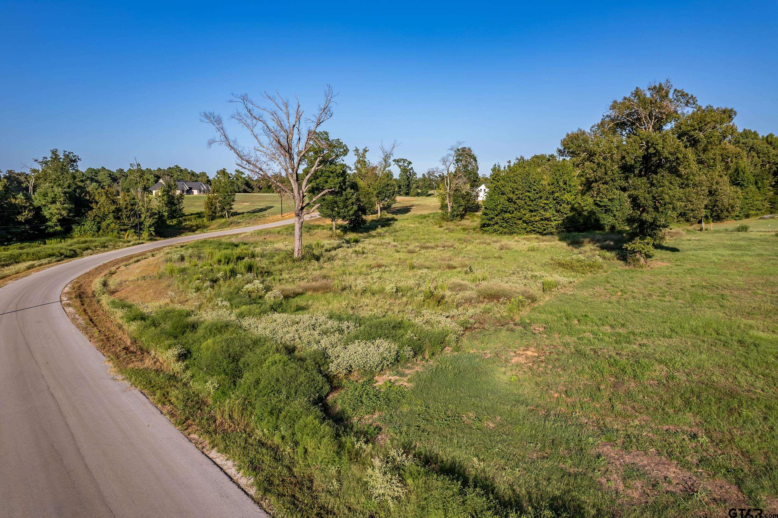 16534 Ridgeline Loop Winona, TX 75792 - Photo 3 of 15 a view of a yard with a tree