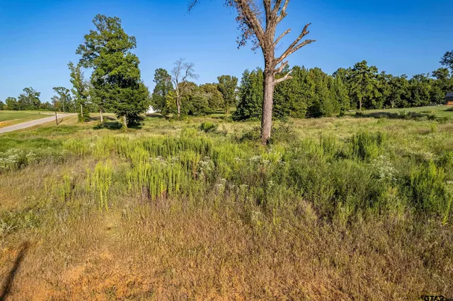a view of a yard with a tree