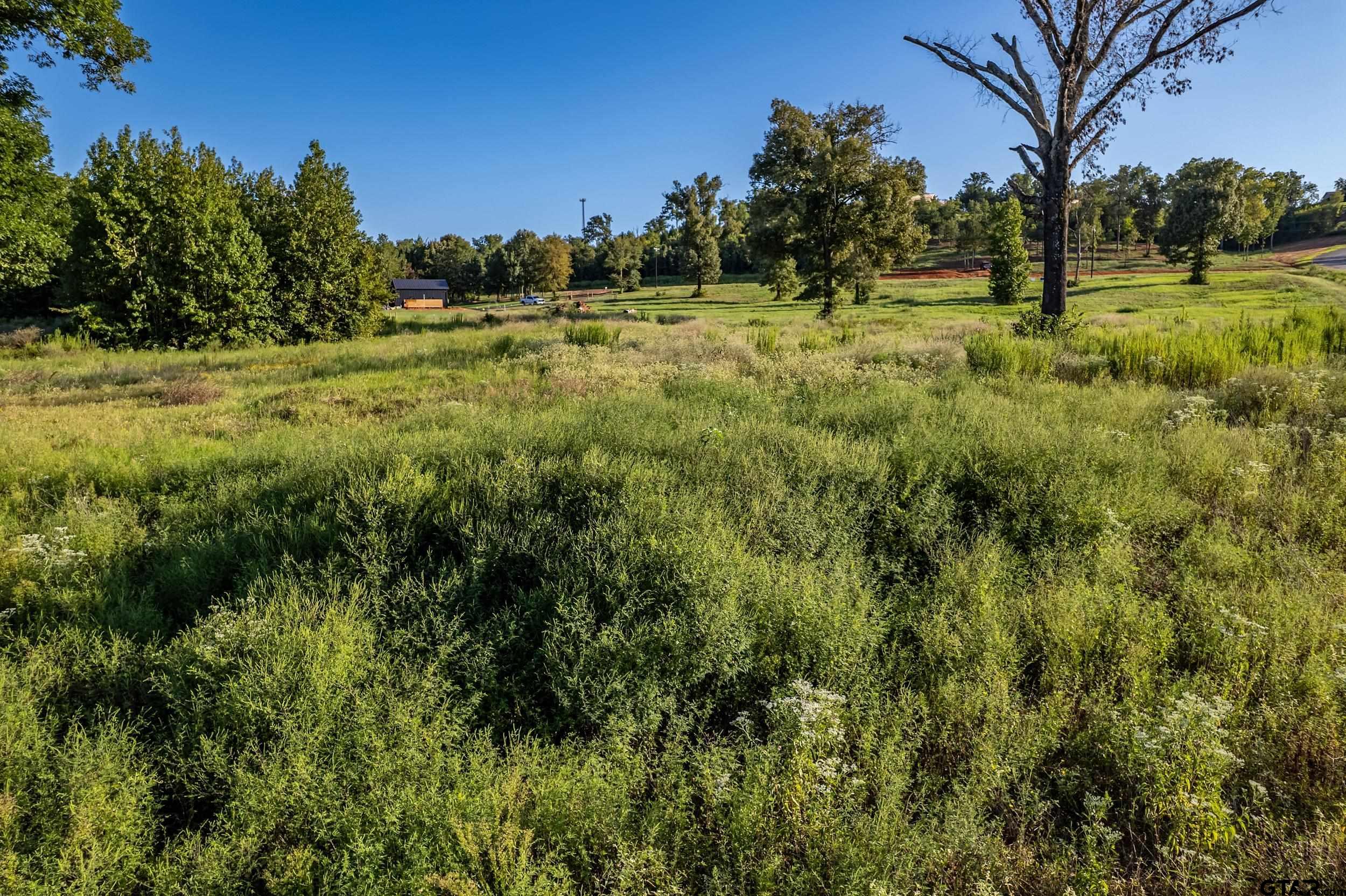 16534 Ridgeline Loop Winona, TX 75792 - Photo 6 of 15 a view of a field with trees