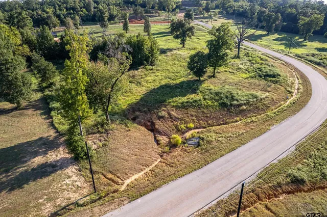 a view of a garden with a yard