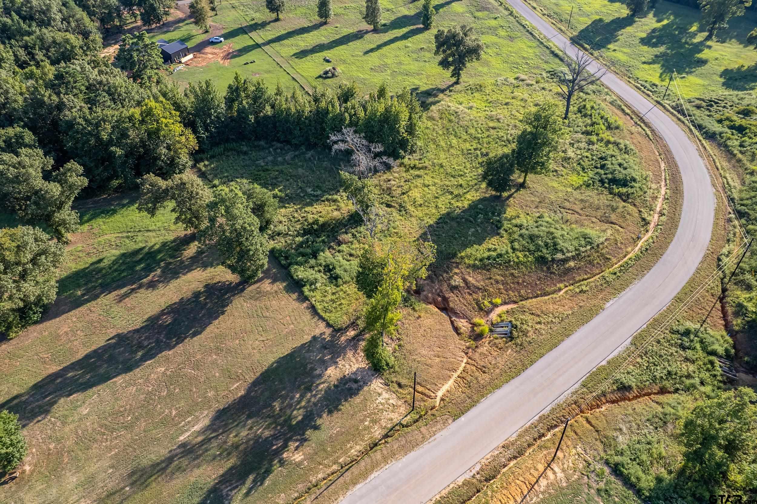 16534 Ridgeline Loop Winona, TX 75792 - Photo 8 of 15 a view of a yard with plants