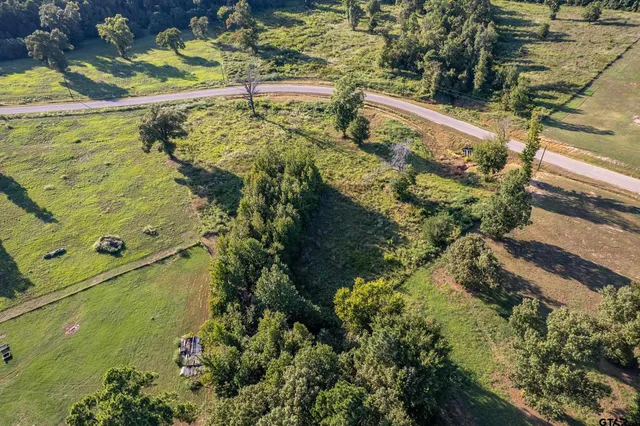 a view of banana tree