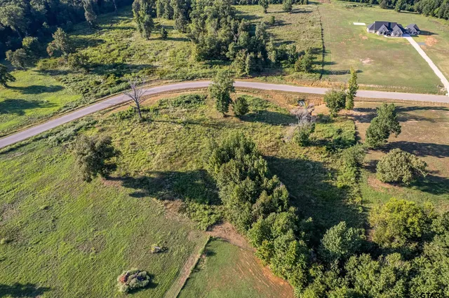 a view of a big yard